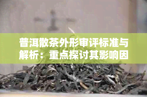 普洱散茶外形审评标准与解析：重点探讨其影响因素和评价方法