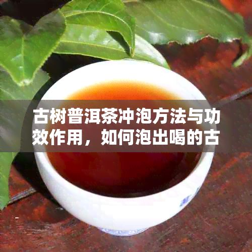 古树普洱茶冲泡方法与功效作用，如何泡出喝的古树普洱茶？