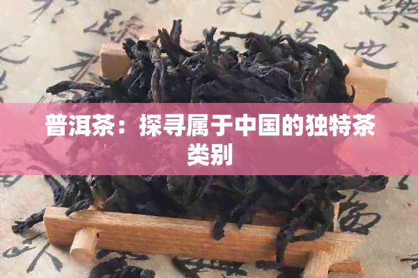 普洱茶：探寻属于中国的独特茶类别