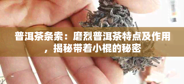 普洱茶条索：磨烈普洱茶特点及作用，揭秘带着小棍的秘密