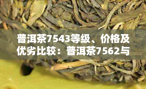 普洱茶7543等级、价格及优劣比较：普洱茶7562与7572含义解析