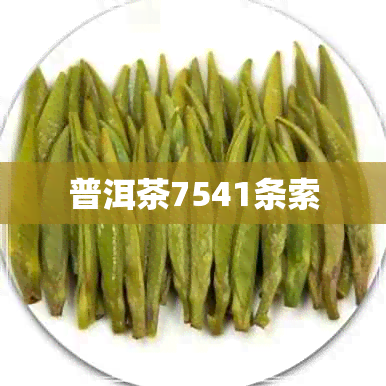 普洱茶7541条索