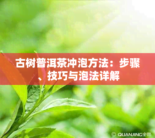 古树普洱茶冲泡方法：步骤、技巧与泡法详解