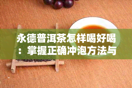 永德普洱茶怎样喝好喝：掌握正确冲泡方法与品饮技巧，让茶香四溢