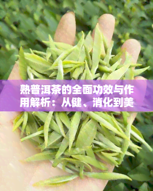 熟普洱茶的全面功效与作用解析：从健、消化到美容的全方位探讨