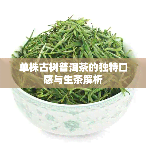 单株古树普洱茶的独特口感与生茶解析