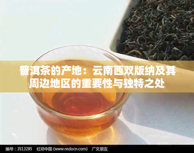 普洱茶的产地：云南西双版纳及其周边地区的重要性与独特之处