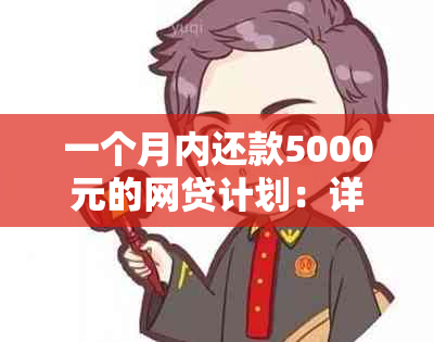 一个月内还款5000元的网贷计划：详细的还款明细和计算方法