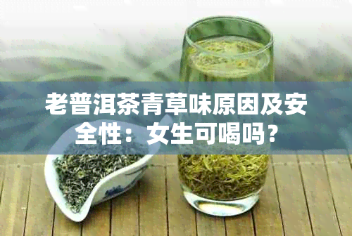 老普洱茶青草味原因及安全性：女生可喝吗？