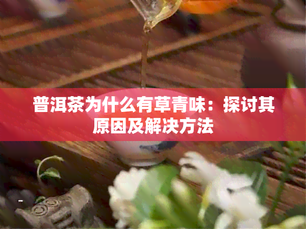 普洱茶为什么有草青味：探讨其原因及解决方法