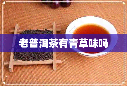 老普洱茶有青草味吗