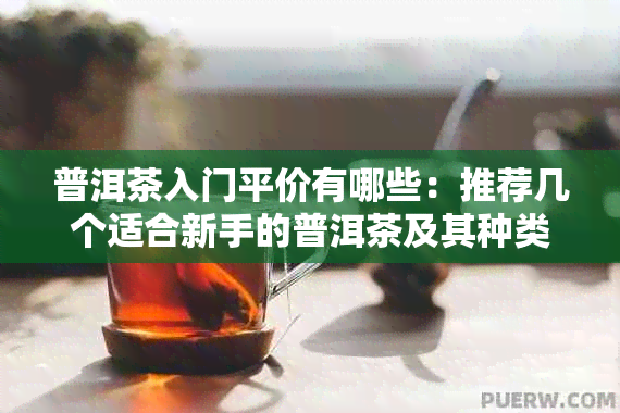 普洱茶入门平价有哪些：推荐几个适合新手的普洱茶及其种类。