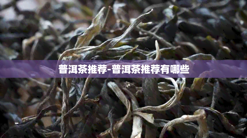 普洱茶推荐-普洱茶推荐有哪些