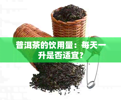 普洱茶的饮用量：每天一升是否适宜？