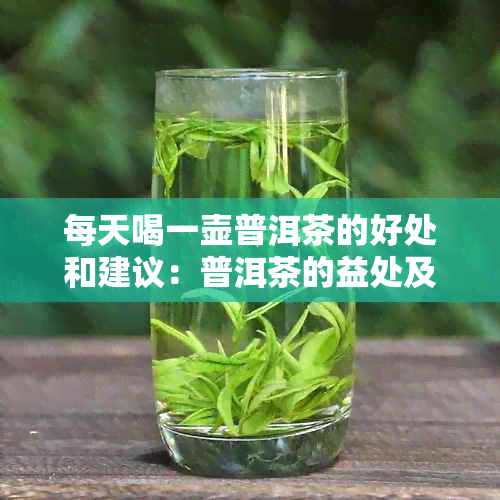 每天喝一壶普洱茶的好处和建议：普洱茶的益处及饮用方法