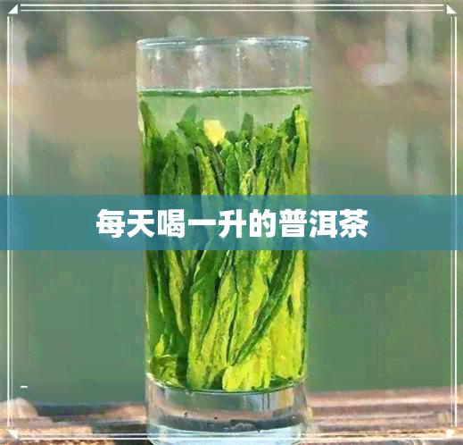 每天喝一升的普洱茶