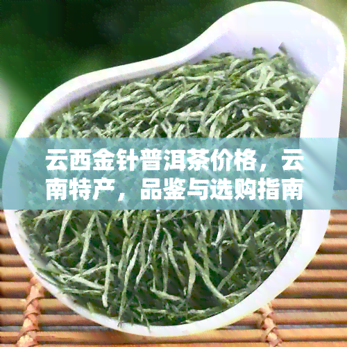 云西金针普洱茶价格，云南特产，品鉴与选购指南