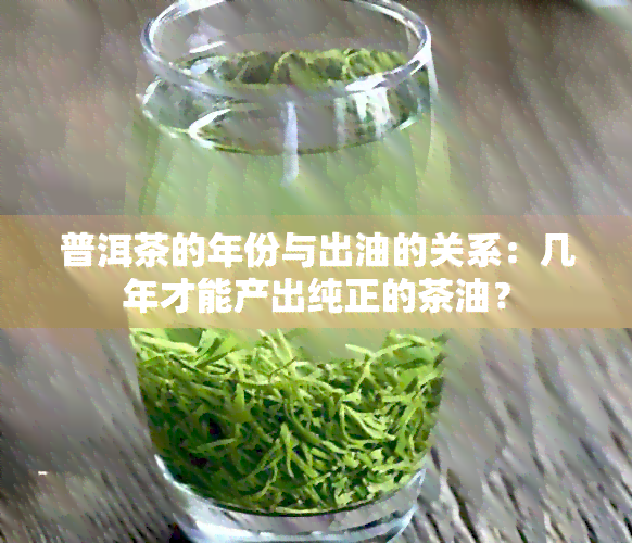 普洱茶的年份与出油的关系：几年才能产出纯正的茶油？