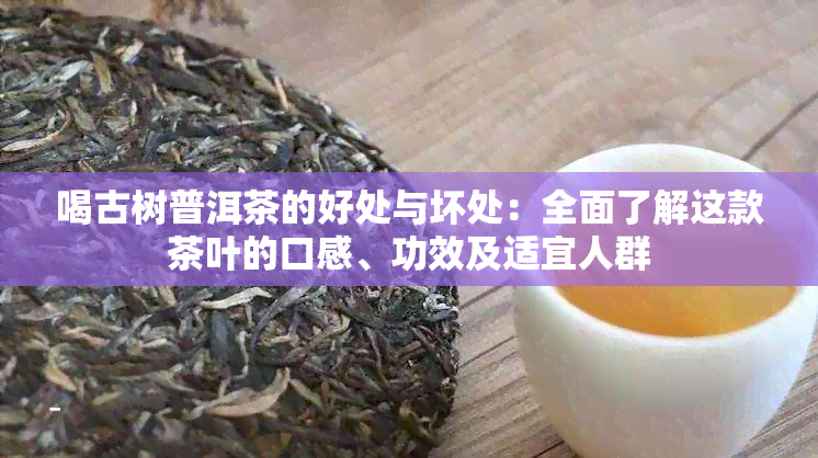 喝古树普洱茶的好处与坏处：全面了解这款茶叶的口感、功效及适宜人群