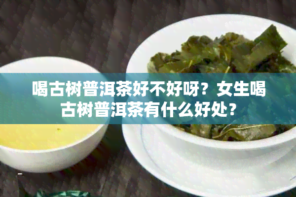 喝古树普洱茶好不好呀？女生喝古树普洱茶有什么好处？