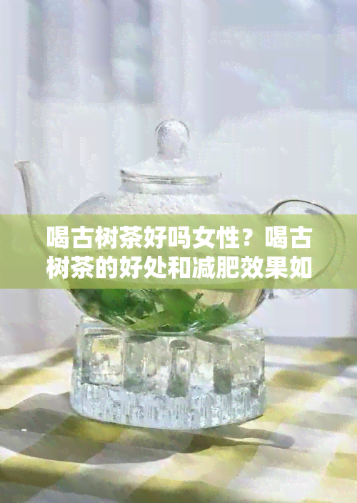 喝古树茶好吗女性？喝古树茶的好处和减肥效果如何？