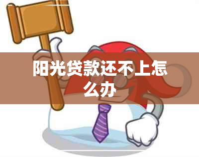 阳光贷款还不上怎么办