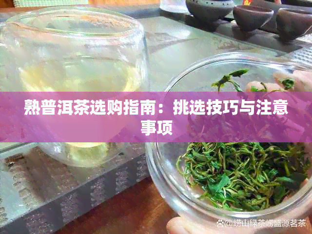 熟普洱茶选购指南：挑选技巧与注意事项