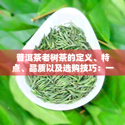 普洱茶老树茶的定义、特点、品质以及选购技巧：一篇全面指南