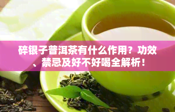 碎银子普洱茶有什么作用？功效、禁忌及好不好喝全解析！