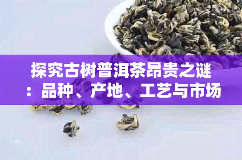 探究古树普洱茶昂贵之谜：品种、产地、工艺与市场因素的综合分析