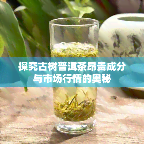 探究古树普洱茶昂贵成分与市场行情的奥秘