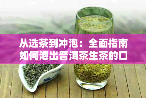 从选茶到冲泡：全面指南如何泡出普洱茶生茶的口感