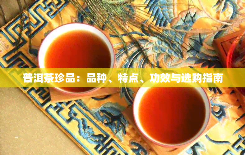 普洱茶珍品：品种、特点、功效与选购指南