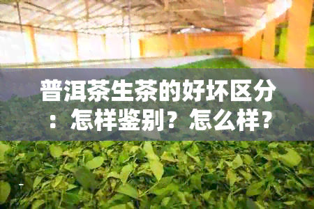 普洱茶生茶的好坏区分：怎样鉴别？怎么样？