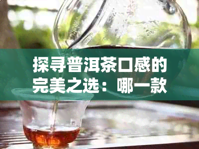 探寻普洱茶口感的完美之选：哪一款茶能让你回味无穷？