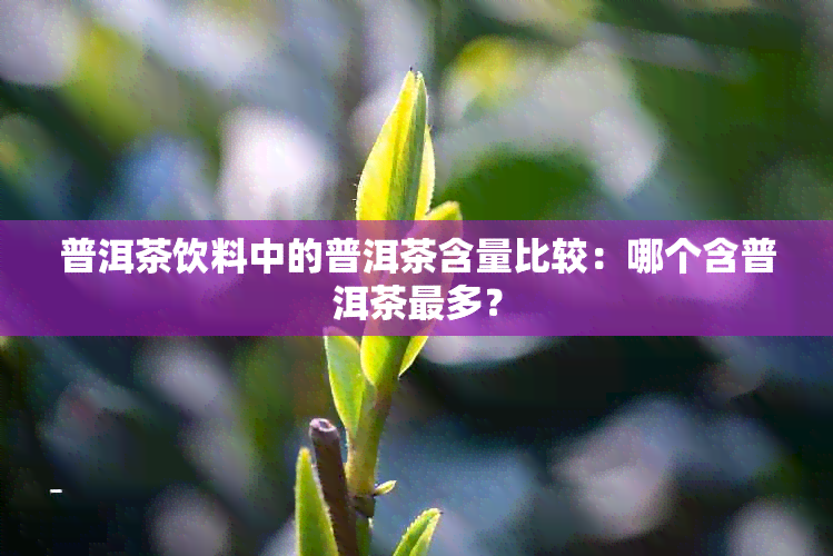 普洱茶饮料中的普洱茶含量比较：哪个含普洱茶最多？