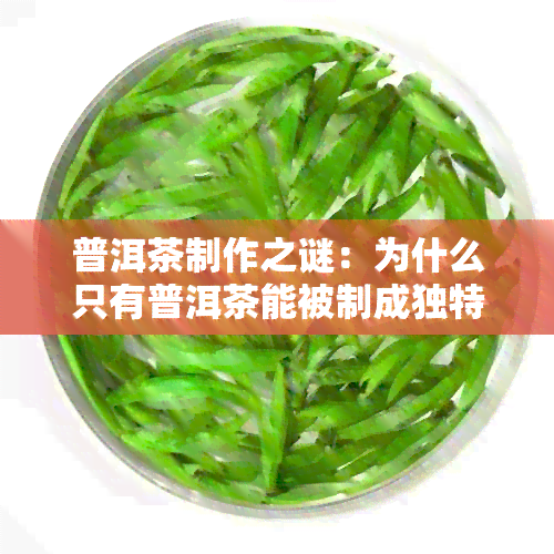 普洱茶制作之谜：为什么只有普洱茶能被制成独特的饼状？