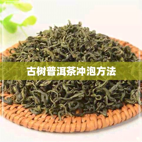 古树普洱茶冲泡方法