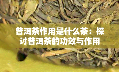 普洱茶作用是什么茶：探讨普洱茶的功效与作用