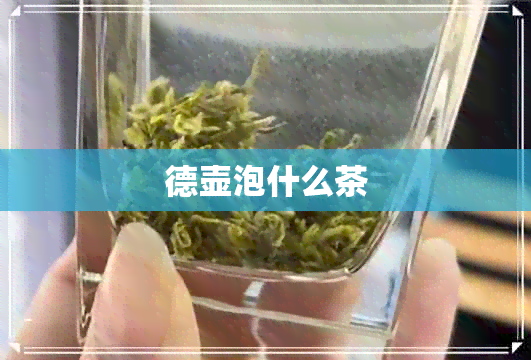 德壶泡什么茶