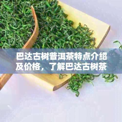 巴达古树普洱茶特点介绍及价格，了解巴达古树茶的口感特点和饼价。