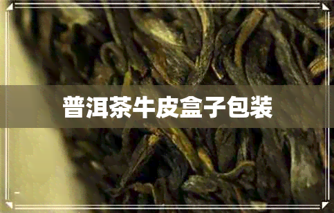 普洱茶牛皮盒子包装