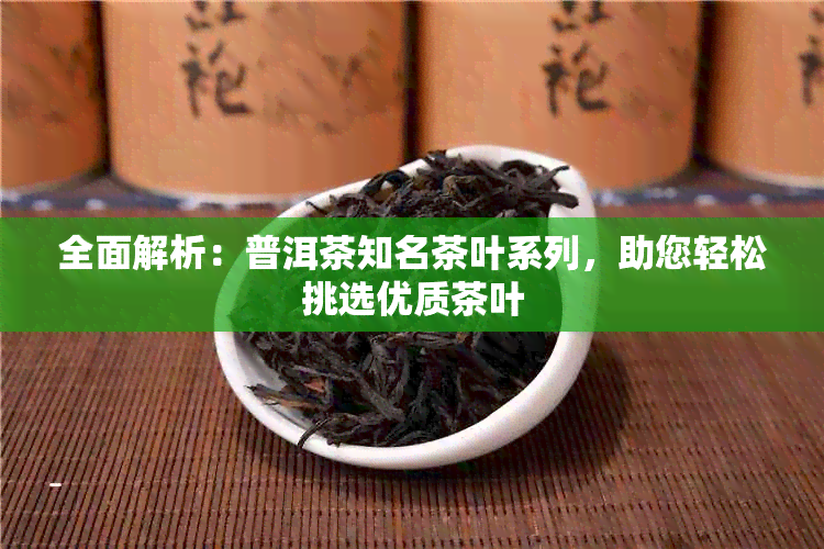 全面解析：普洱茶知名茶叶系列，助您轻松挑选优质茶叶