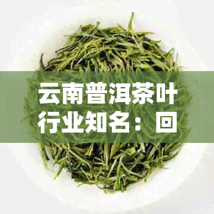 云南普洱茶叶行业知名：回顾大益茶厂等十强的历背景与产品特点