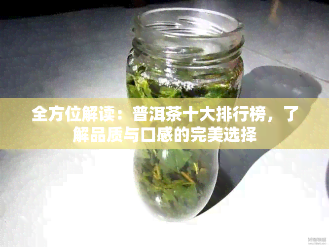 全方位解读：普洱茶十大排行榜，了解品质与口感的完美选择