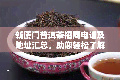 新厦门普洱茶招商电话及地址汇总，助您轻松了解加盟详情