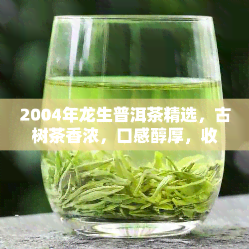 2004年龙生普洱茶精选，古树茶香浓，口感醇厚，收藏与品茗之佳选