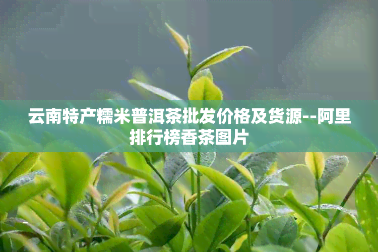 云南特产糯米普洱茶批发价格及货源--阿里排行榜香茶图片