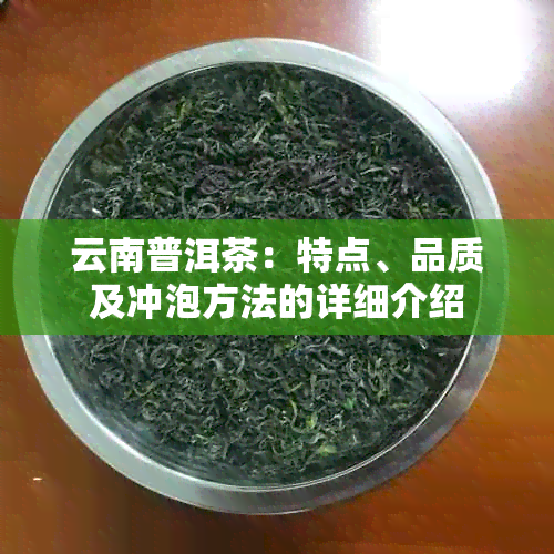 云南普洱茶：特点、品质及冲泡方法的详细介绍