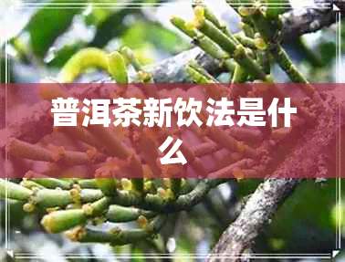 普洱茶新饮法是什么